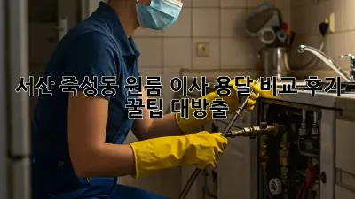 서산 죽성동 원룸 이사 용달 비교 후기: 꿀팁 대방출!