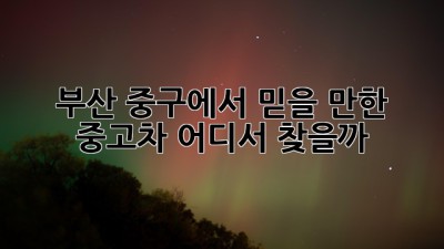 부산 중구에서 믿을 만한 중고차, 어디서 찾을까? 🚗💨