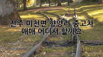 진주 미천면 향양리 중고차 매매, 어디서 할까요?