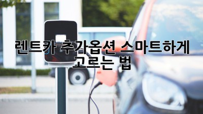 🚗 렌트카 추가옵션, 스마트하게 고르는 법! 🤔