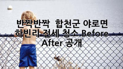 ✨ 반짝반짝 ✨ 합천군 야로면 하빈리 전세 청소, ✨Before & After 공개! 🏡